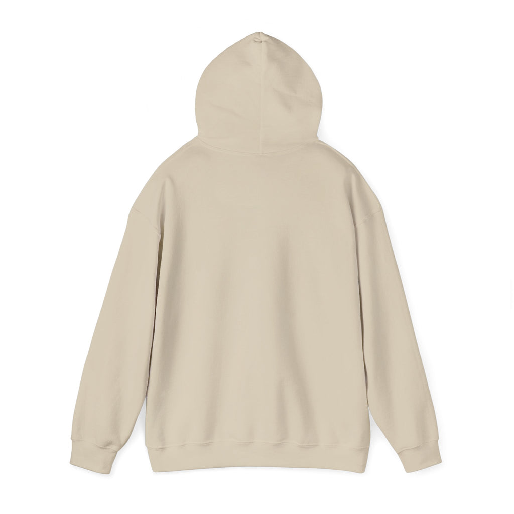 🦝 Off to Cause Chaos — Cozy Mischief Hoodie