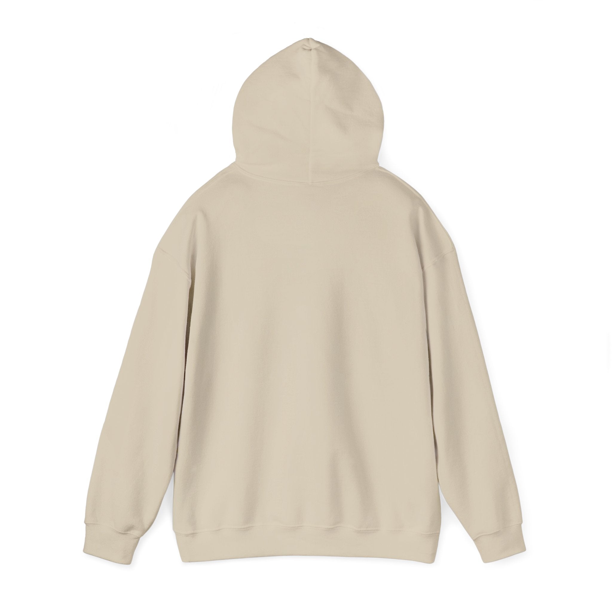 🦝 Off to Cause Chaos — Cozy Mischief Hoodie